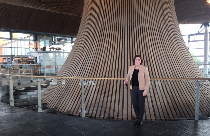 Senedd