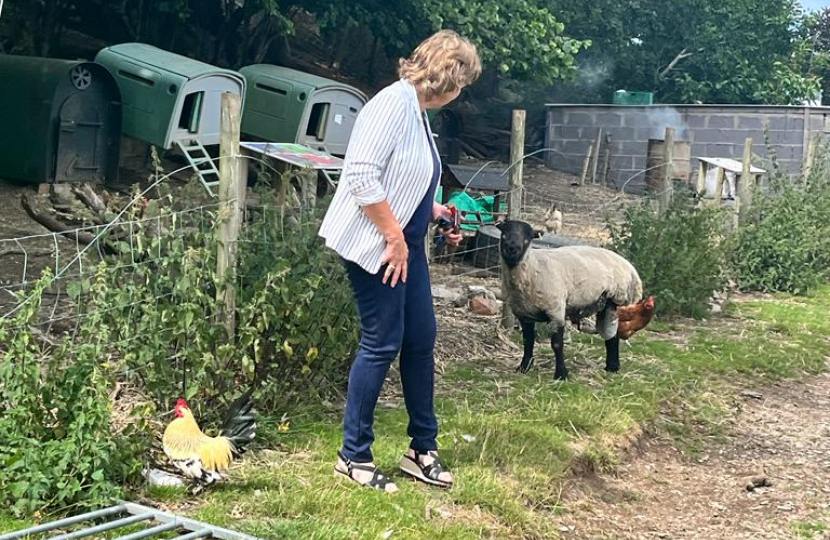 Janet & Sheep