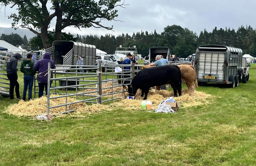 Llanwrst Show