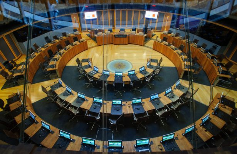 Senedd