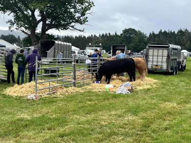 Llanwrst Show